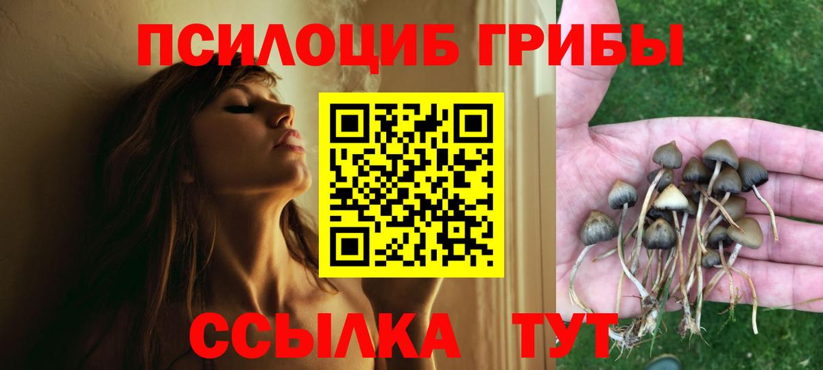 Галлюциногенные грибы Cubensis Калач-на-Дону
